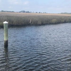 Meet your Posher, Khalid